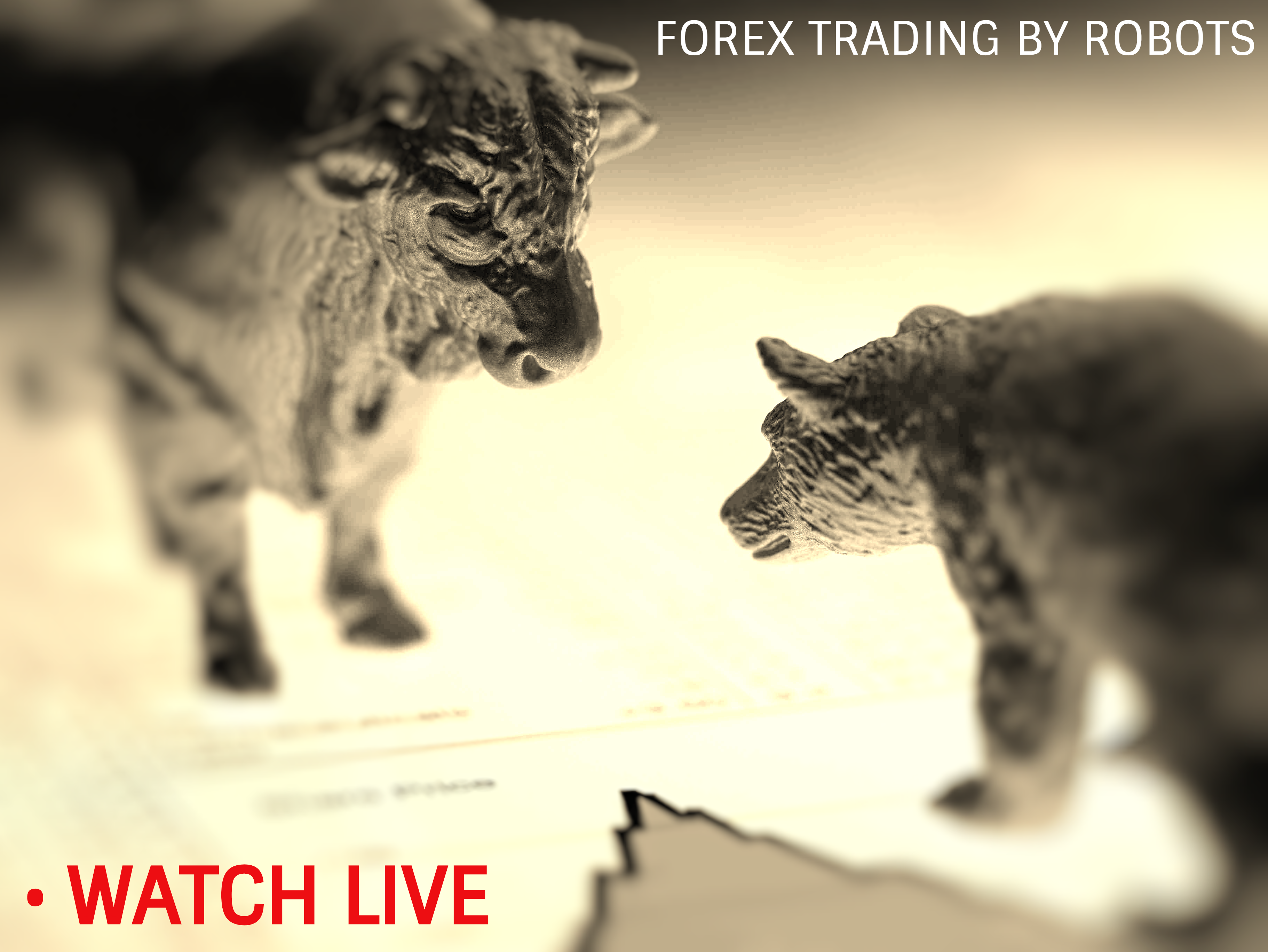 Watch LIVE Trading Feed of Automated Forex Trading Robot | RvR Ventures